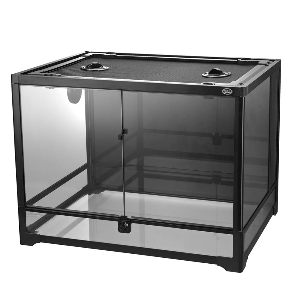 Terrarium 60x45x45cm Reptile Nova – Szklane, Zdejmowana Pokrywa, Metalowa Siatka Wentylacyjna